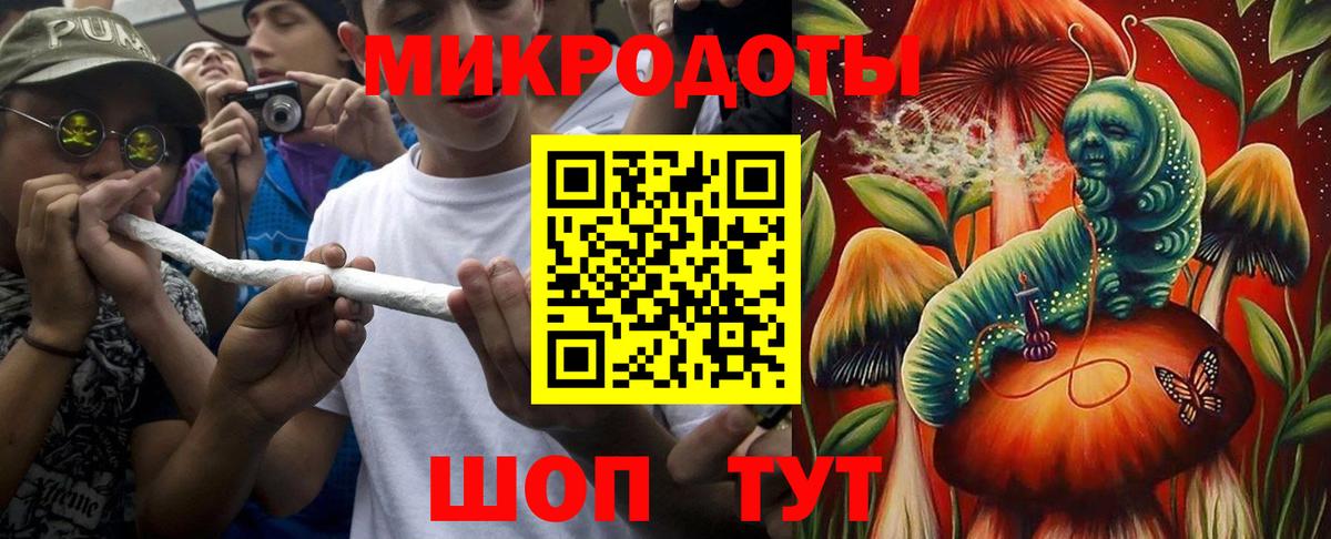 Галлюциногенные грибы Psilocybe Петрозаводск