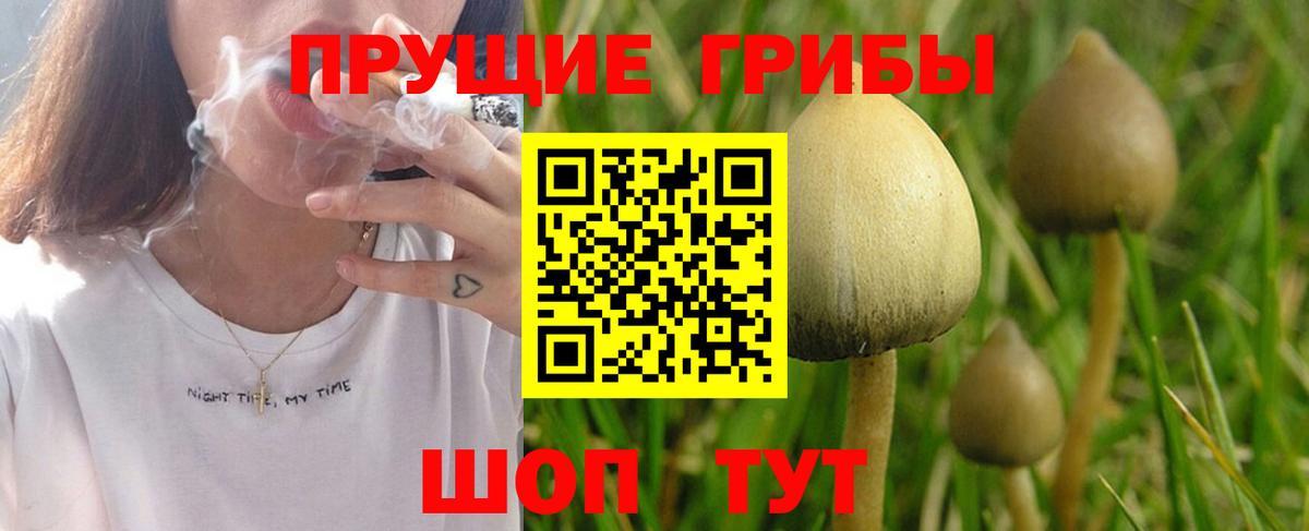 Петрозаводск  Псилоцибиновые грибы Magic Shrooms  Вход с VPN 